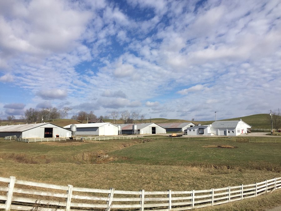 LAND & EQUIPMENT AUCTION - 241+/- ACRES OFFERED IN 7 TRACTS IN JACKSON COUNTY, OHIO